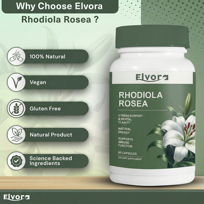 Elvora - Rhodiola Rosea 500mg